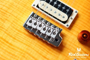  SE Custom 24 - VS